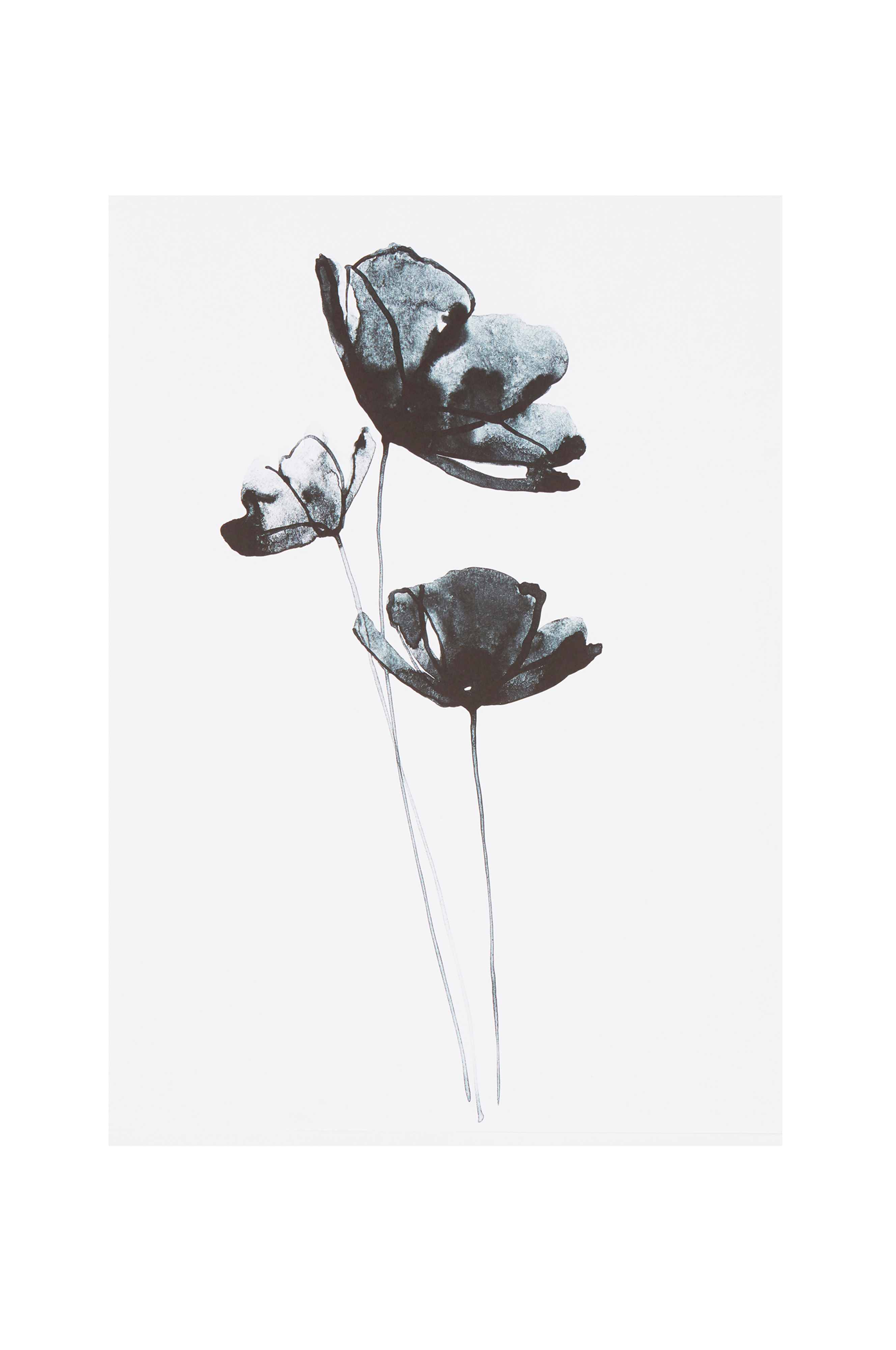 BLUE FLOWER poster 30x40 cm Vit Dekoration Jotex