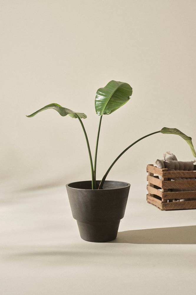 TERRY kruka ø 31,4 cm