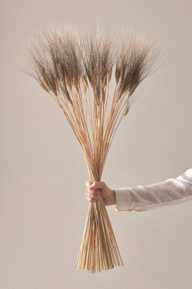 Triticum beard Natur/svart