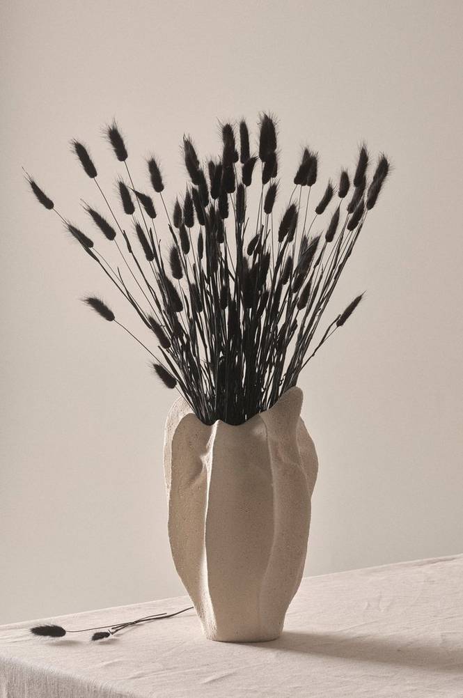 Lagurus Black Svart