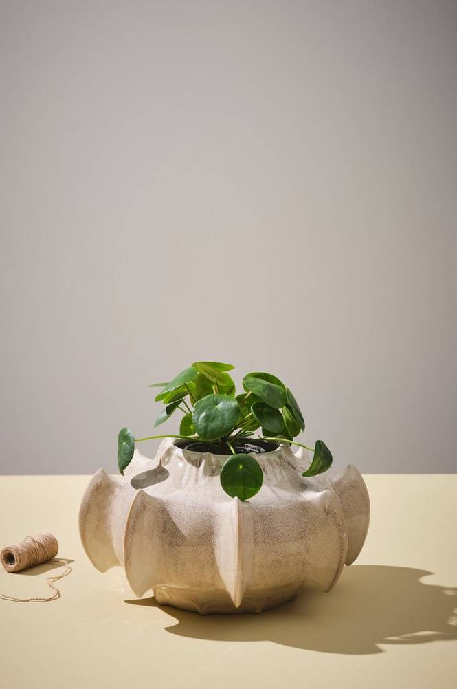 ROGUE vas/kruka - höjd 21 cm Beige