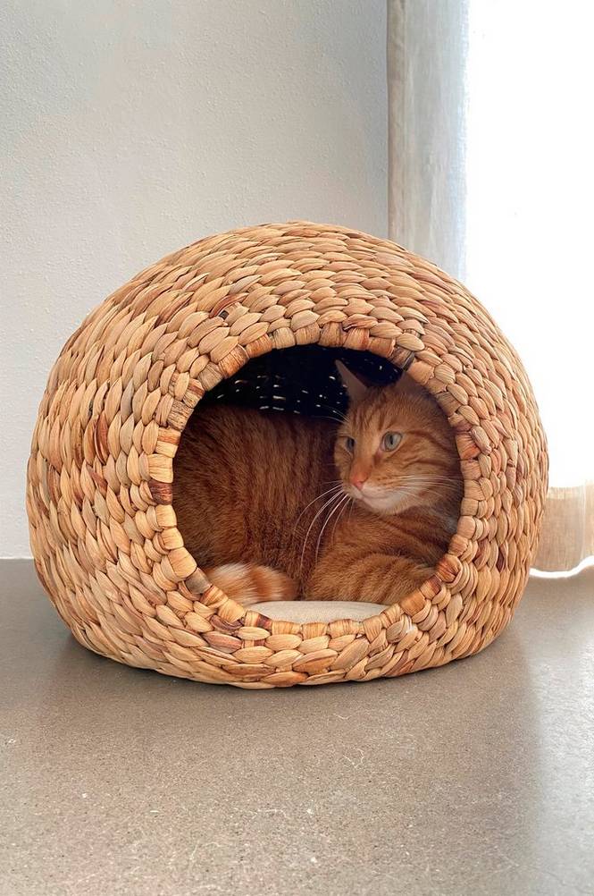 NIKO hundeseng/katteseng