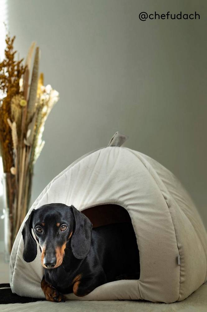 CHARLIE hundeseng/katteseng