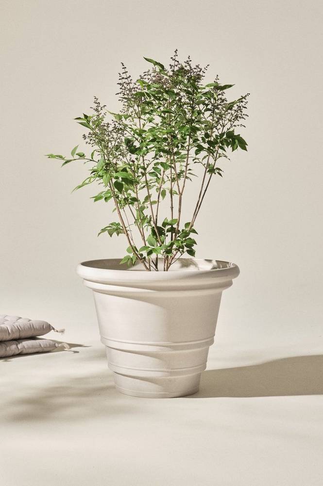 HOLLY ulkoruukku, halkaisija 56 cm