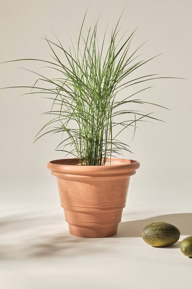 HOLLY utepotte, diameter 56 cm