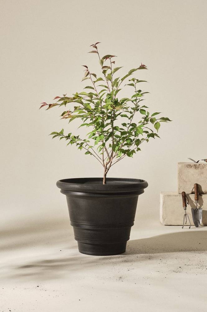 HOLLY utomhuskruka ø 56 cm