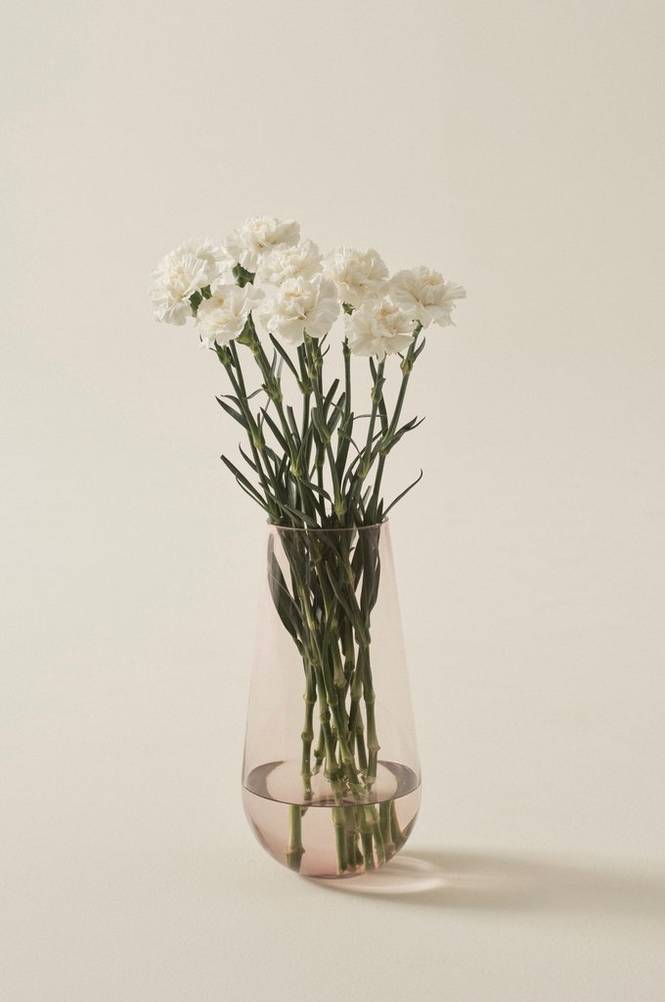 Nejlikor Everest White