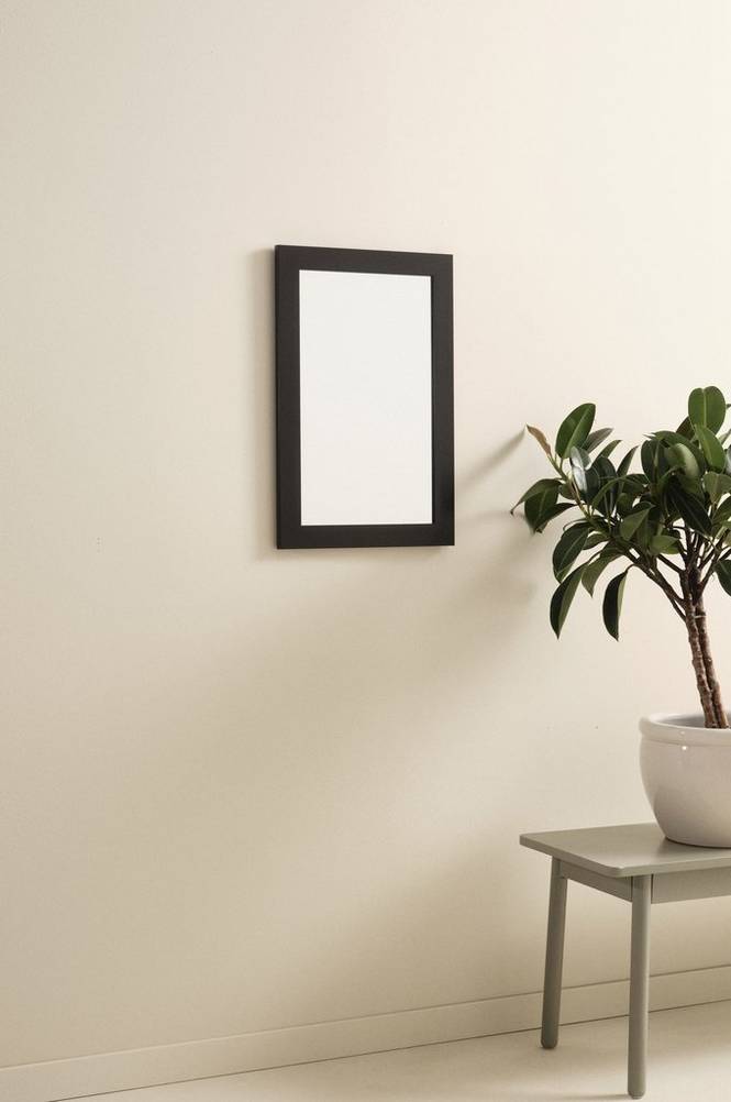 ENVY spegel 30x50 cm Svart