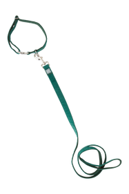 LUCA Hundeleine Mit Halsband Gr n Haustiere Jotex