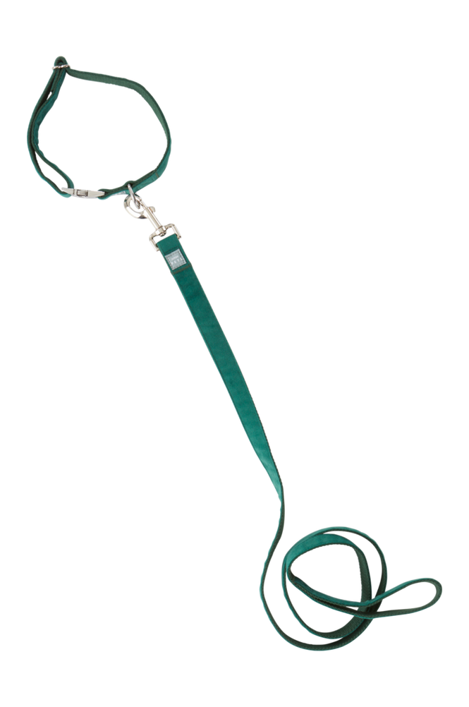 LUCA koppel och hundhalsband Grön