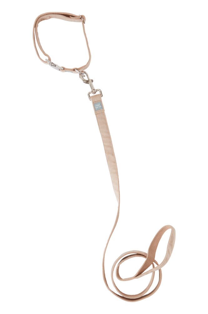 LUCA koppel och hundhalsband