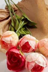 TULIP Kimppu Roosa Sisustus Jotex
