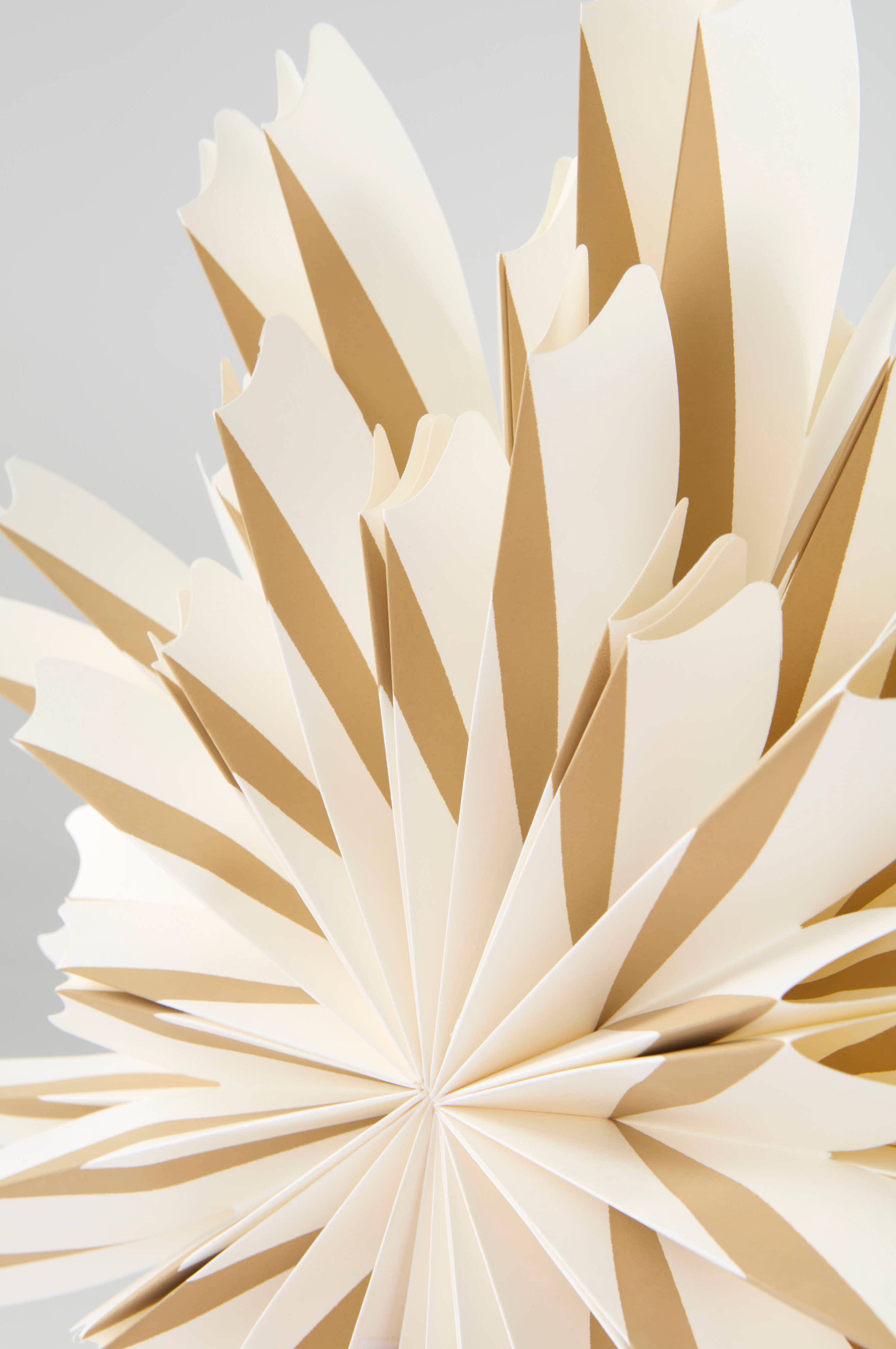 universaldünger zimmerpflanzen Zimmerpflanzen Dünger, Monstera Dünger, 6 Monate Depotwirkung – PlantMe